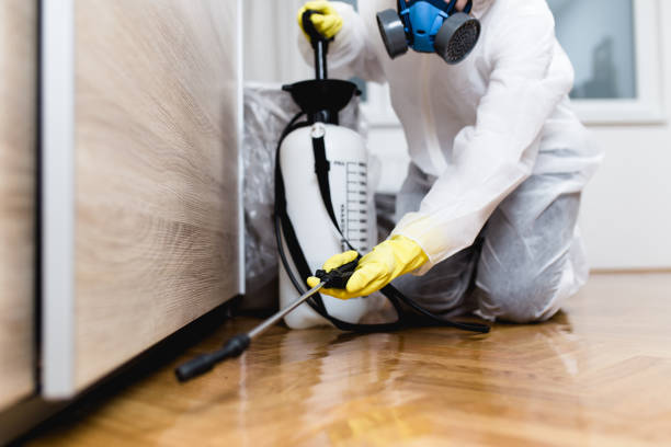 Best Pest Prevention Services  in North Alamo, TX