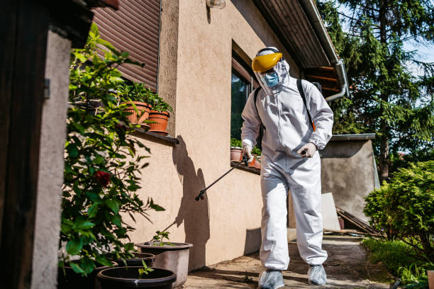 Best Emergency Pest Control  in North Alamo, TX