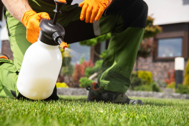 Best Pest Control Near Me  in North Alamo, TX
